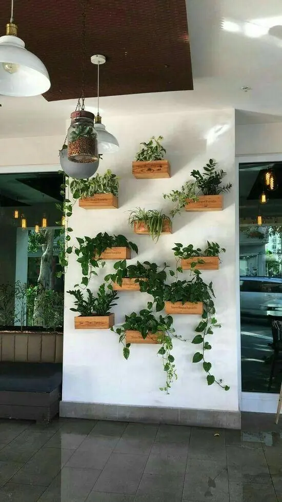 Accesorios de decoración